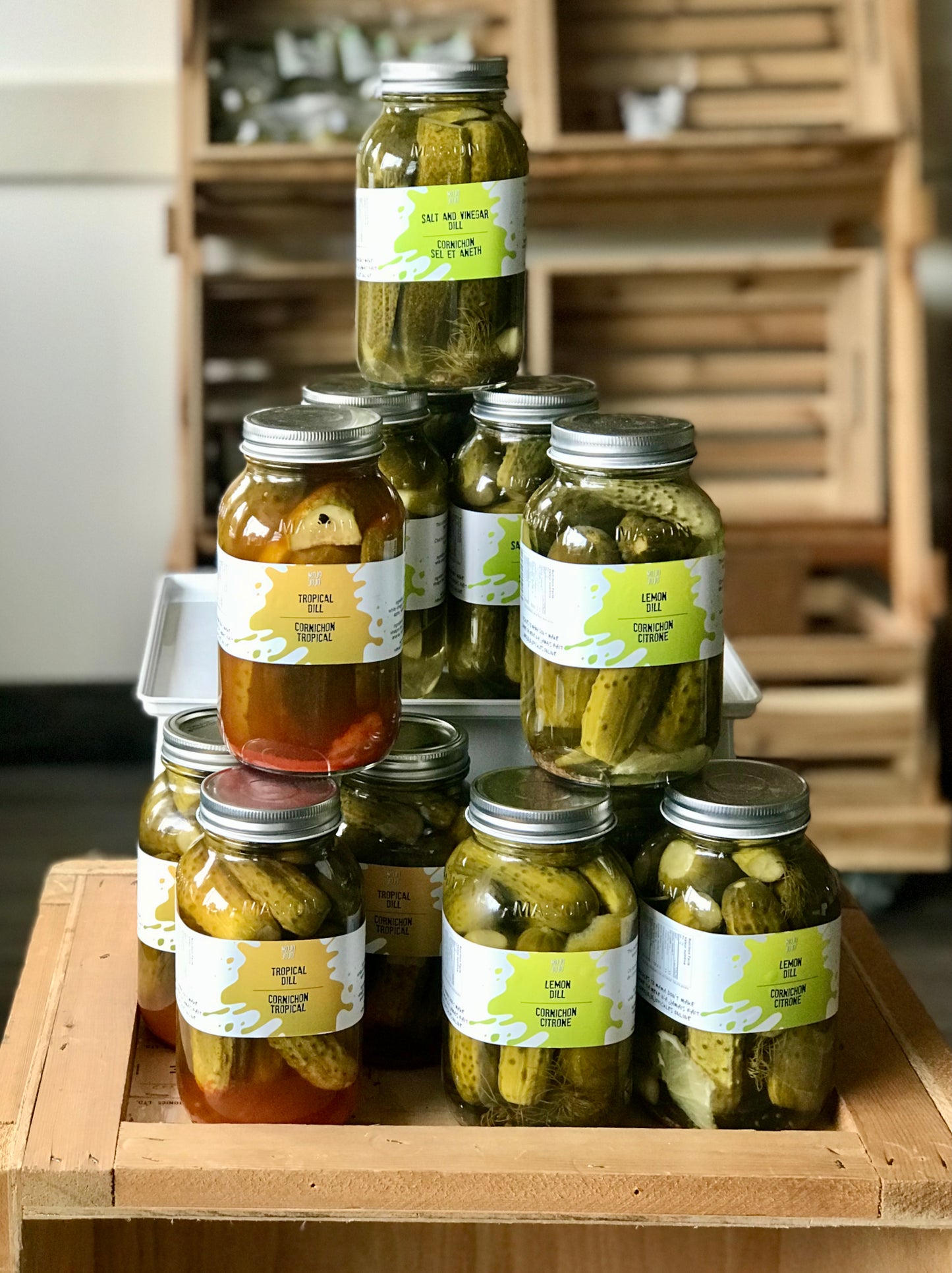 Wholesale Big Fat Pickle Pack - Case 12